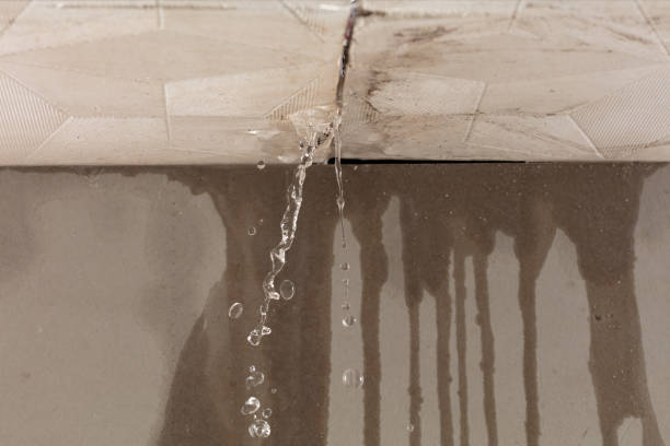 Professional Water Damage Repair technician working in Albright, WV